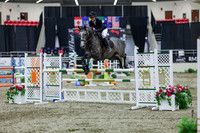 2025 - Shea - Royal West - Thursday October 23rd - 06638