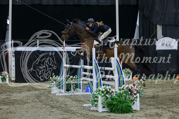 2025 - Shea - Royal West - Thursday October 23rd - 06724