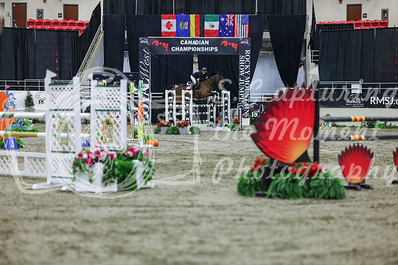 2025 - Shea - Royal West - Thursday October 23rd - 06730