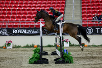 2025 - Shea - Royal West - Thursday October 23rd - 06737