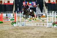 2025 - Haylee - Royal West - Thursday October 23rd - 04472