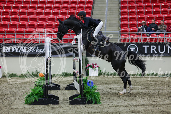 2025 - Shea - Royal West - Thursday October 23rd - 06684