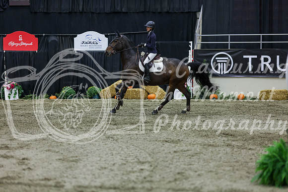 2025 - Shea - Royal West - Thursday October 23rd - 06514