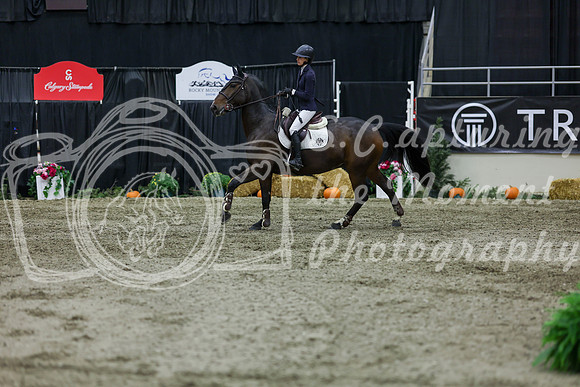 2025 - Shea - Royal West - Thursday October 23rd - 06516