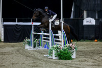 2025 - Shea - Royal West - Thursday October 23rd - 06518