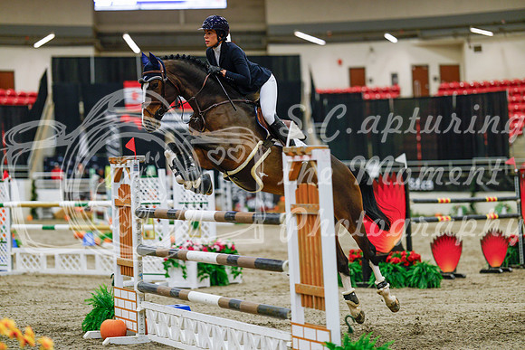 2025 - Haylee - Royal West - Thursday October 23rd - 08424