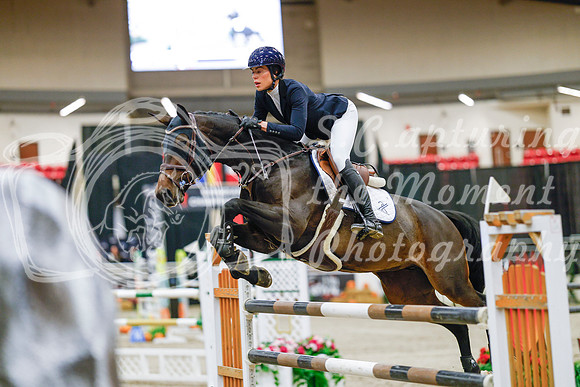 2025 - Haylee - Royal West - Thursday October 23rd - 07588
