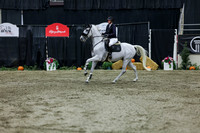 2025 - Shea - Royal West - Thursday October 23rd - 06908