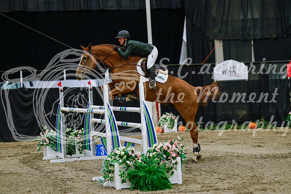2025 - Haylee - Royal West - Thursday October 23rd - 07850