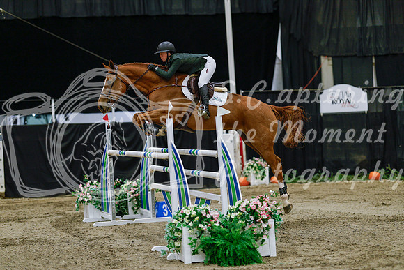 2025 - Haylee - Royal West - Thursday October 23rd - 07853