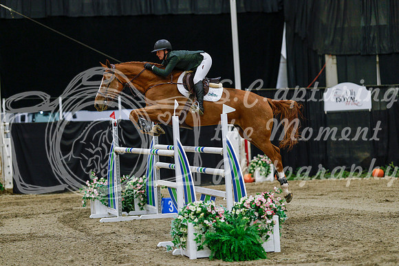2025 - Haylee - Royal West - Thursday October 23rd - 07854