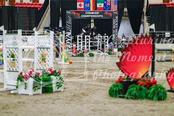 2025 - Haylee - Royal West - Thursday October 23rd - 08129