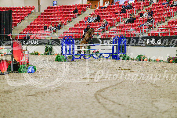 2025 - Haylee - Royal West - Thursday October 23rd - 08663