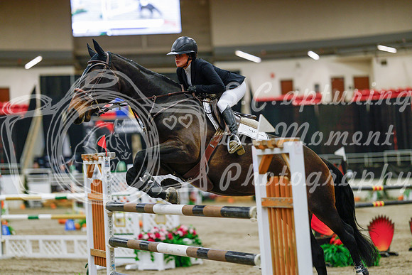 2025 - Haylee - Royal West - Thursday October 23rd - 07753
