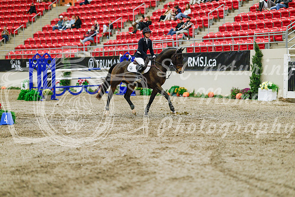 2025 - Haylee - Royal West - Thursday October 23rd - 09343