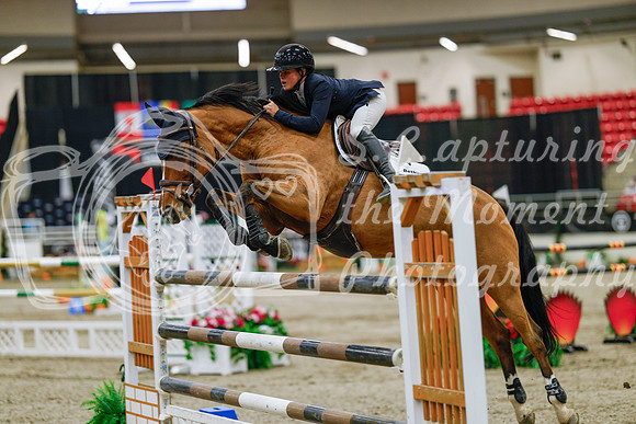 2025 - Haylee - Royal West - Thursday October 23rd - 07920