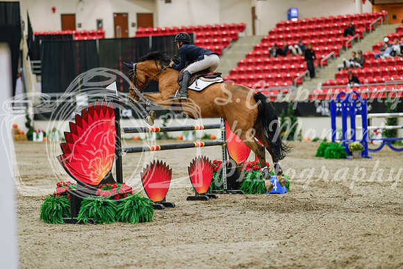 2025 - Haylee - Royal West - Thursday October 23rd - 07937