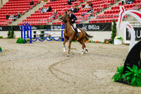 2025 - Haylee - Royal West - Thursday October 23rd - 08584
