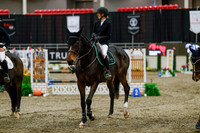 2025 - Haylee - Royal West - Thursday October 23rd - 10270
