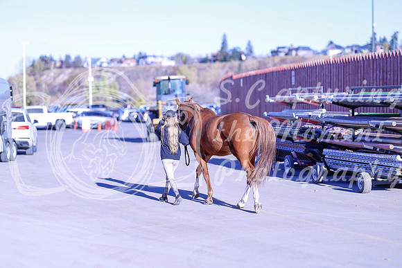 2025 - Haylee - Royal West - Thursday October 23rd - 07567