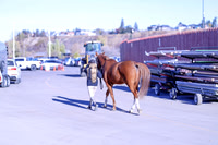 2025 - Haylee - Royal West - Thursday October 23rd - 07569