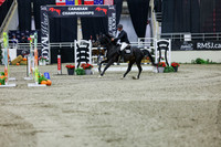 2025 - Shea - Royal West - Thursday October 23rd - 10606