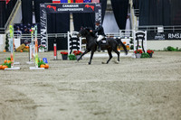 2025 - Shea - Royal West - Thursday October 23rd - 10608