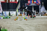 2025 - Shea - Royal West - Thursday October 23rd - 10610