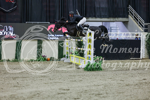 2025 - Shea - Royal West - Thursday October 23rd - 10620
