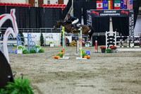 2025 - Shea - Royal West - Thursday October 23rd - 11235