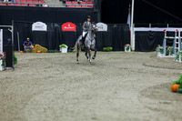 2025 - Shea - Royal West - Thursday October 23rd - 11600