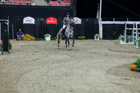 2025 - Shea - Royal West - Thursday October 23rd - 11601