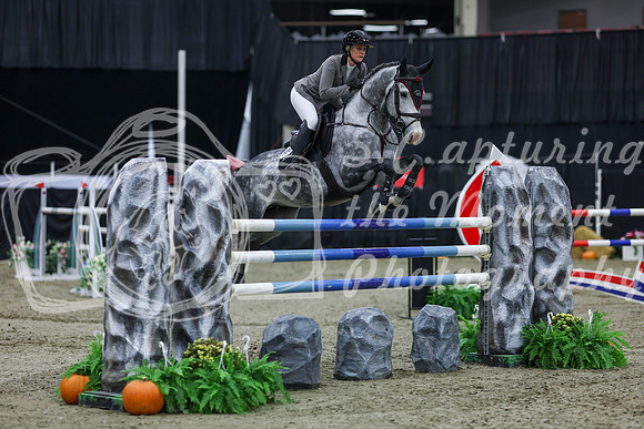 2025 - Shea - Royal West - Thursday October 23rd - 11603