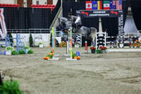 2025 - Shea - Royal West - Thursday October 23rd - 11610