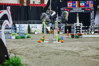 2025 - Shea - Royal West - Thursday October 23rd - 11614