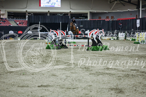 2025 - Shea - Royal West - Thursday October 23rd - 12742