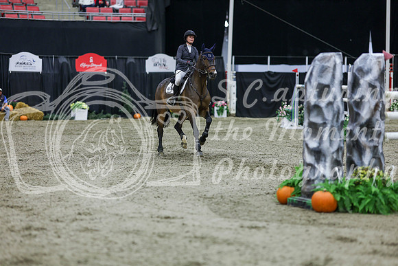 2025 - Shea - Royal West - Thursday October 23rd - 11285