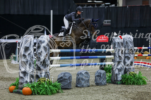 2025 - Shea - Royal West - Thursday October 23rd - 11290