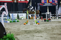 2025 - Shea - Royal West - Thursday October 23rd - 11298