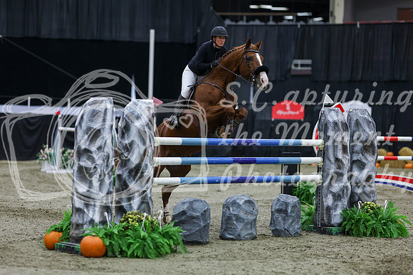 2025 - Shea - Royal West - Thursday October 23rd - 10957