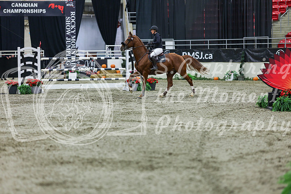 2025 - Shea - Royal West - Thursday October 23rd - 10966