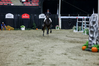 2025 - Shea - Royal West - Thursday October 23rd - 12150