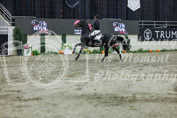 2025 - Shea - Royal West - Thursday October 23rd - 12167