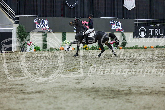 2025 - Shea - Royal West - Thursday October 23rd - 12168