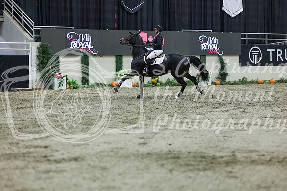 2025 - Shea - Royal West - Thursday October 23rd - 12169