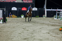 2025 - Shea - Royal West - Thursday October 23rd - 12084
