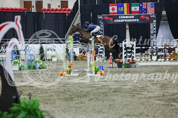2025 - Shea - Royal West - Thursday October 23rd - 12093