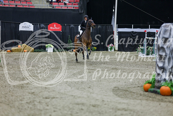 2025 - Shea - Royal West - Thursday October 23rd - 10668
