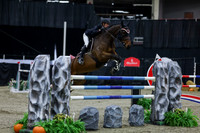 2025 - Shea - Royal West - Thursday October 23rd - 10672