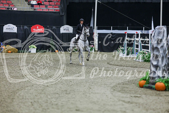 2025 - Shea - Royal West - Thursday October 23rd - 11538